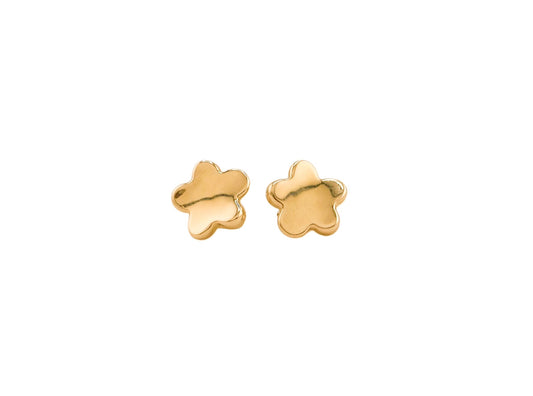 14k Gold Earring